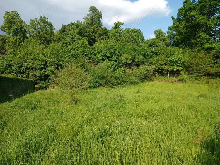 Teren de 8000 mp, în Făget