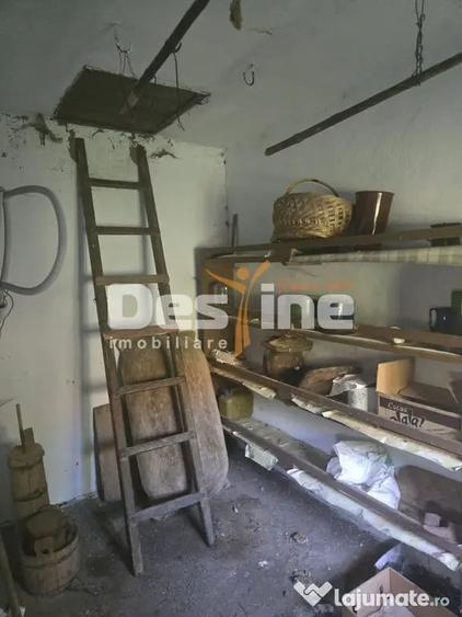 Casă cu 3 camere cu Teren 2614 Mp în Trăisteni