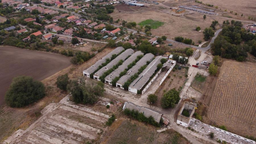 Teren Construcții intravilan de 88.97200012207 mp, în Variaș