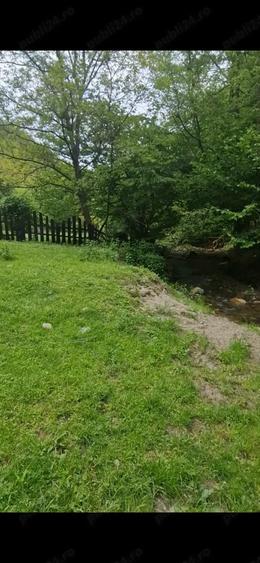Teren de 4800 mp, în Căpâlna