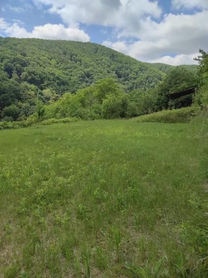 Teren de 4430 mp, în Central