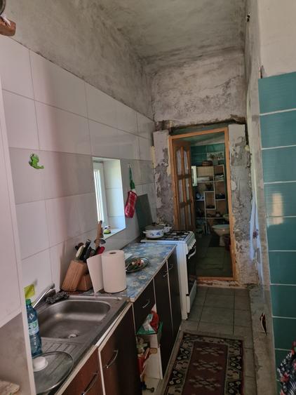 Apartament 1 camera-Gradina privata-Parcul Copou - 7