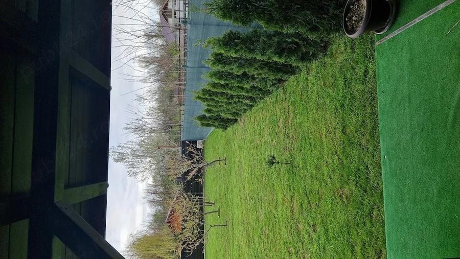 Casă cu Teren 540 Mp în Milcov