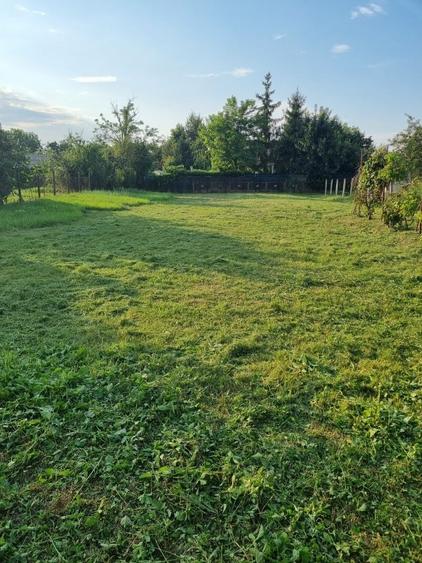 Teren Intravilan,1500 mp Tunari,Dimieni - 5