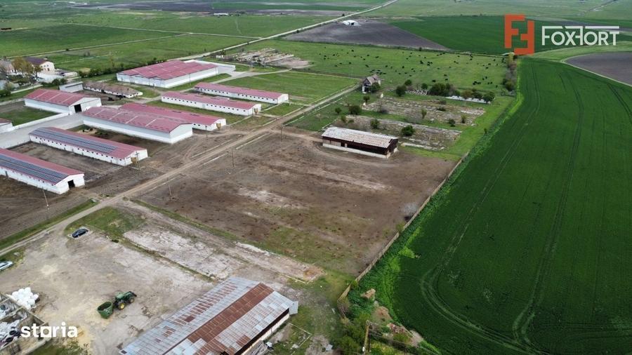 Spațiu comercial, în Peciu Nou