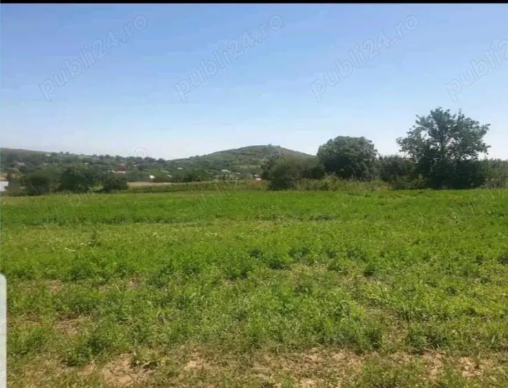 Teren de 7000 mp, în Telița