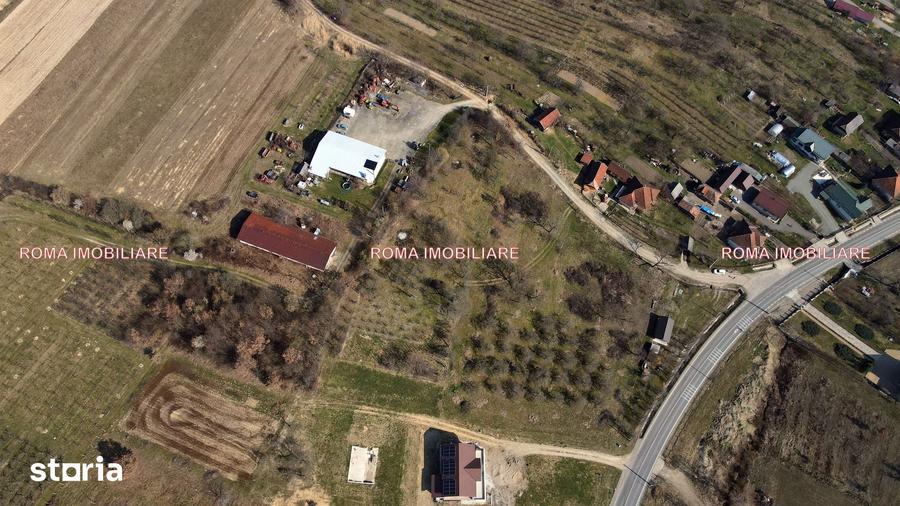 Teren de 6650 mp, în Remetea Chioarului