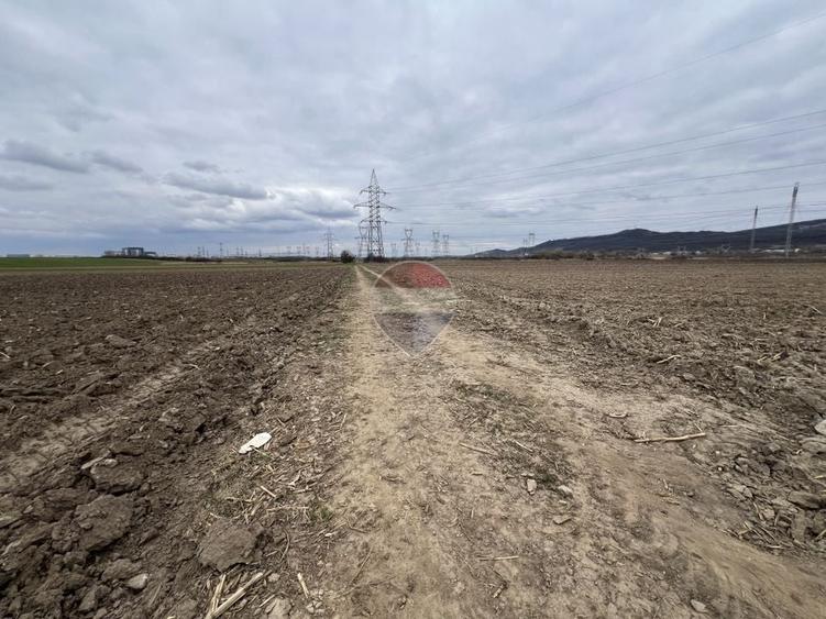 Teren agricol extravilan de 2800 mp, în Șelimbăr