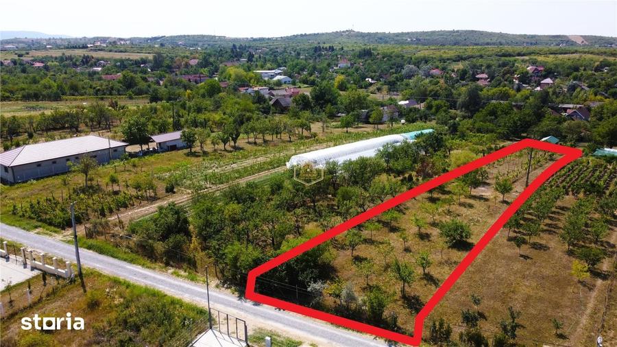 Teren de 1320 mp, în Burdea