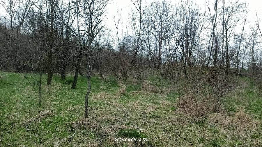 Casă cu 3 camere cu Teren 4660 Mp în Central