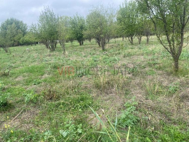 Teren extravilan de 8100 mp, în Est