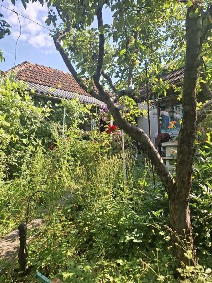 Casă cu 3 camere în Bogați