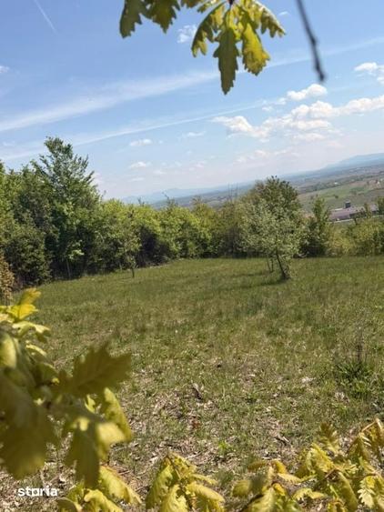 Teren de 1400 mp, în Fărcașa