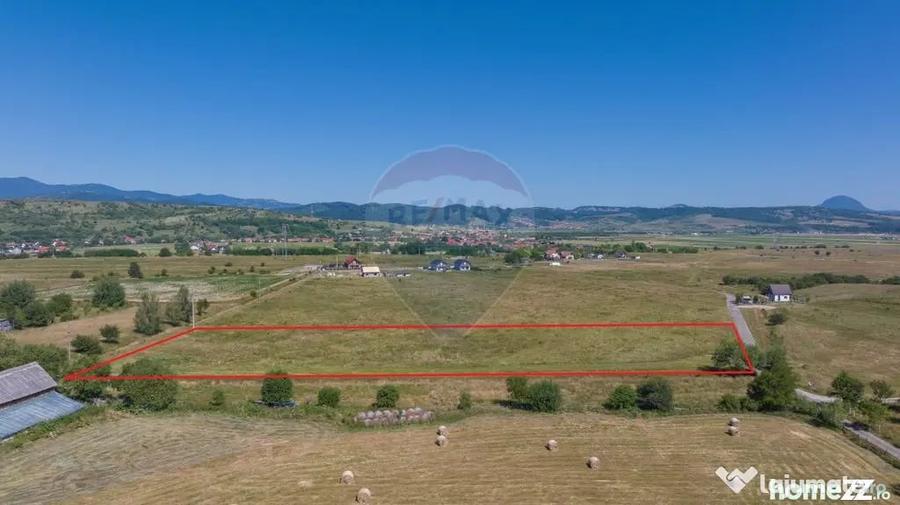 Teren Bran -Sohodol, Strada La mesteceni, 6900mp - 17