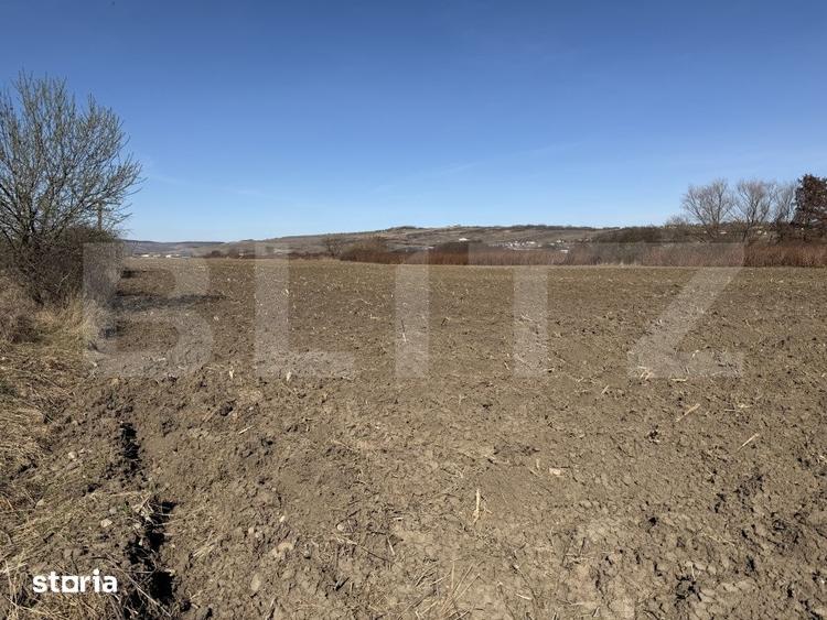 Teren de 4000 mp, în Hereclean