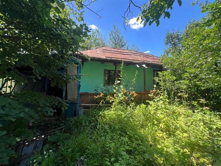 Teren Construcții intravilan de 17475 mp, în Tomești