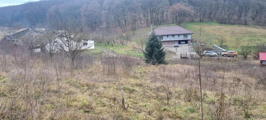 Teren Construcții intravilan de 1000 mp, în Gheorghe Doja
