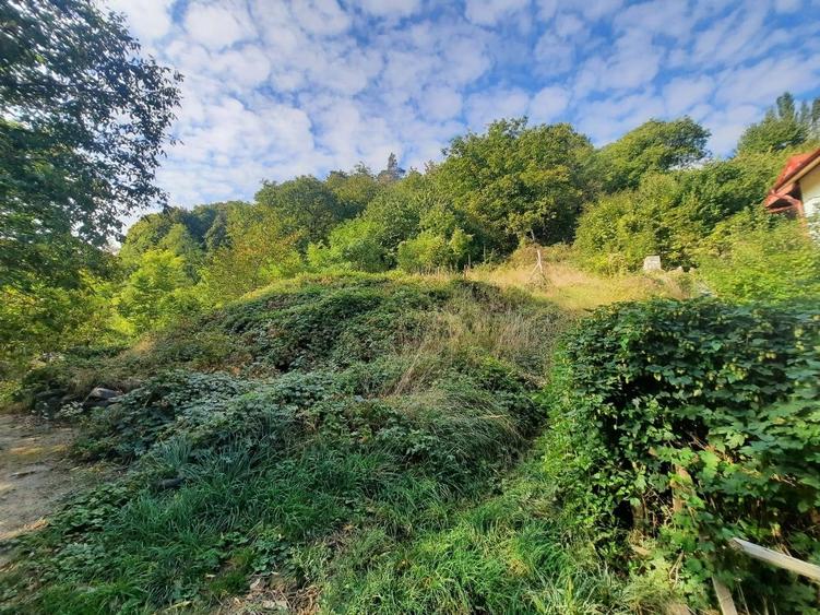 Teren Construcții intravilan de 1543 mp, în Nord
