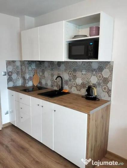 Apartament cu 2 camere de inchiriat zona Floreasca - 1