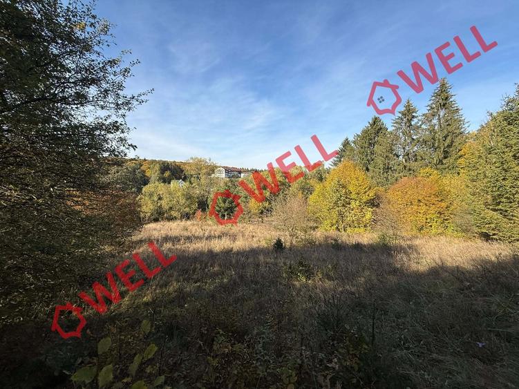 Teren intravilan de 2500 mp, în Periferie