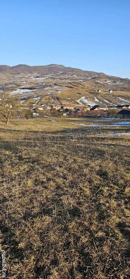 Teren de 3100 mp, în Dumitra