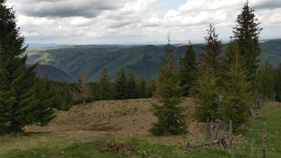 Teren de 15841 mp, în Muntele Rece