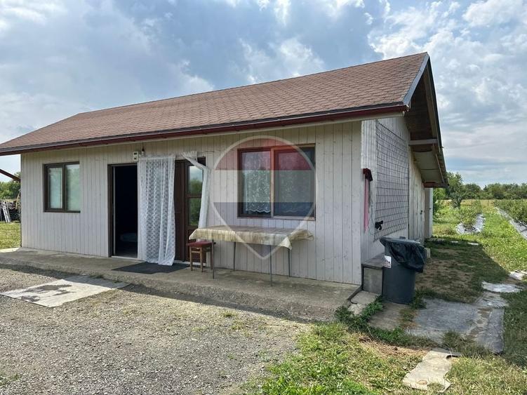 Teren agricol extravilan de 29656 mp, în Bozânta Mică