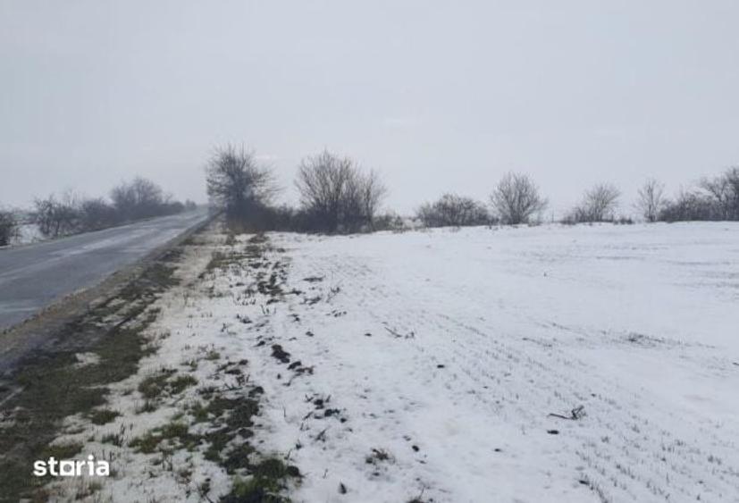 Teren de 585 mp, în Central