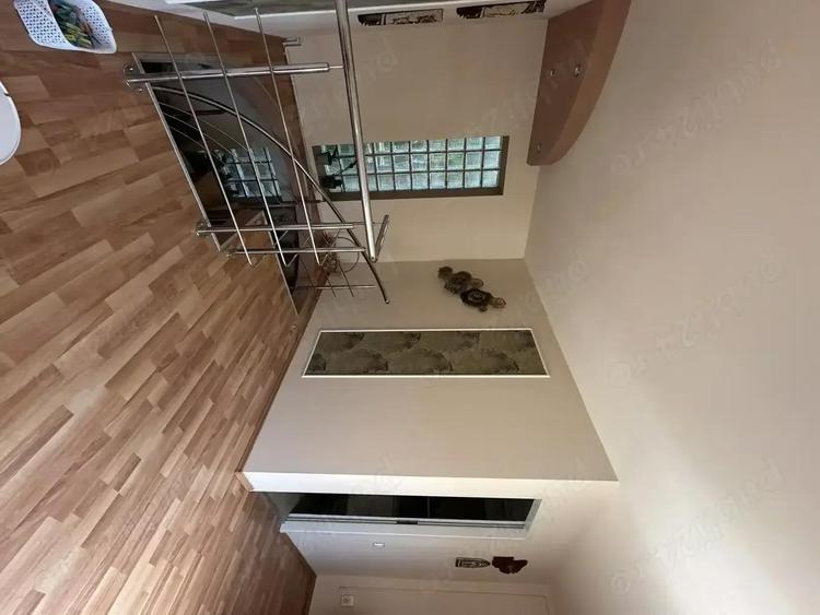 Casă cu 3 camere cu Teren 484 Mp în Paltiniș