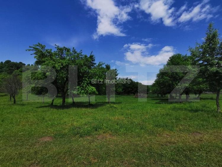 Teren, aproximativ 1 ha, in apropiere de Bistrita