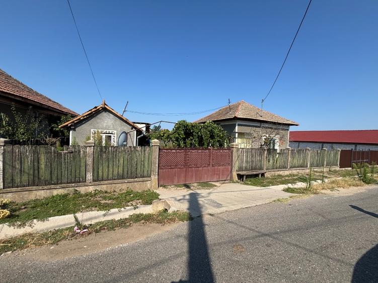 Casă cu 3 camere cu Teren 1587 Mp în Pătulele