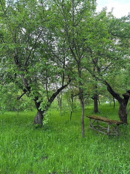 Teren de 2436 mp, în Brebu