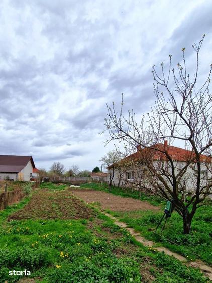 Casa in apropiere de Baile Sarate Ocna Mure? - 5