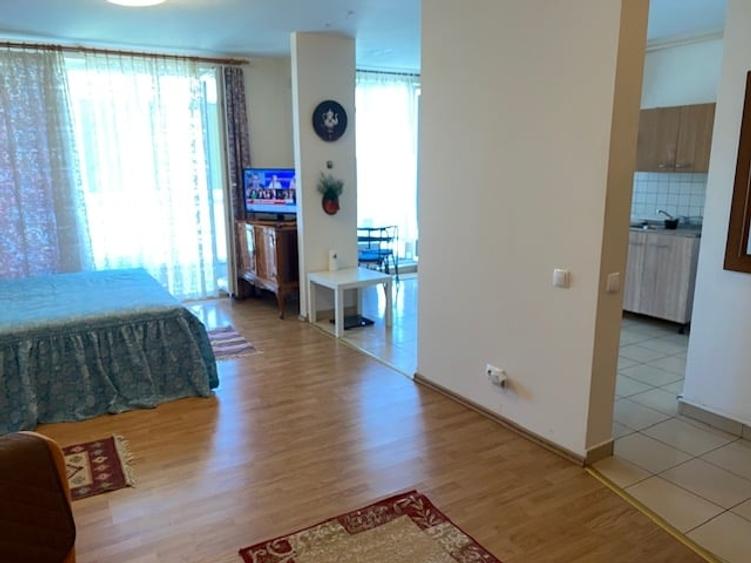Garsonieră în Ultracentral