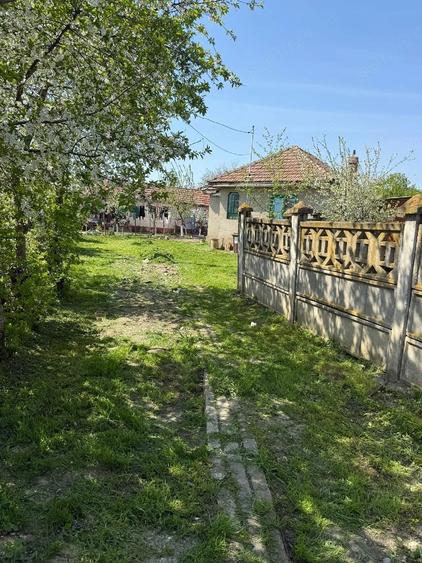 Casă cu Teren 2000 Mp în Gura Vadului