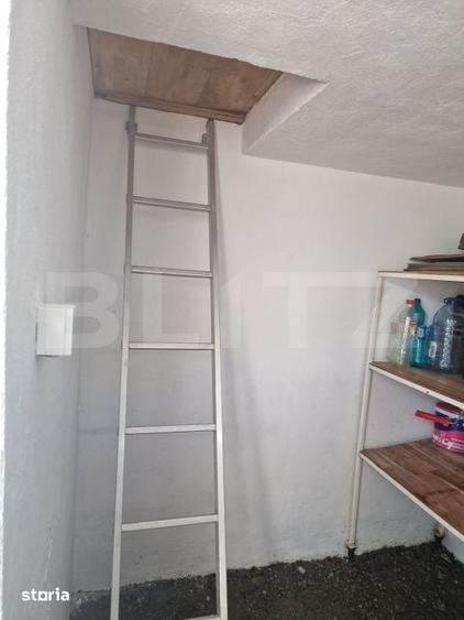 Casă cu 2 camere cu Teren 1000 Mp în Viișoara