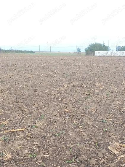 Teren de 5000 mp, în Herăști
