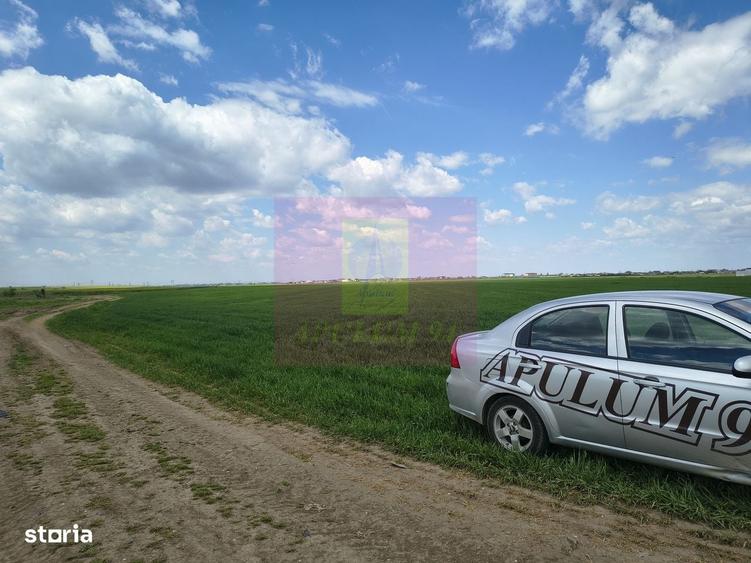 Spațiu comercial, în Poșta