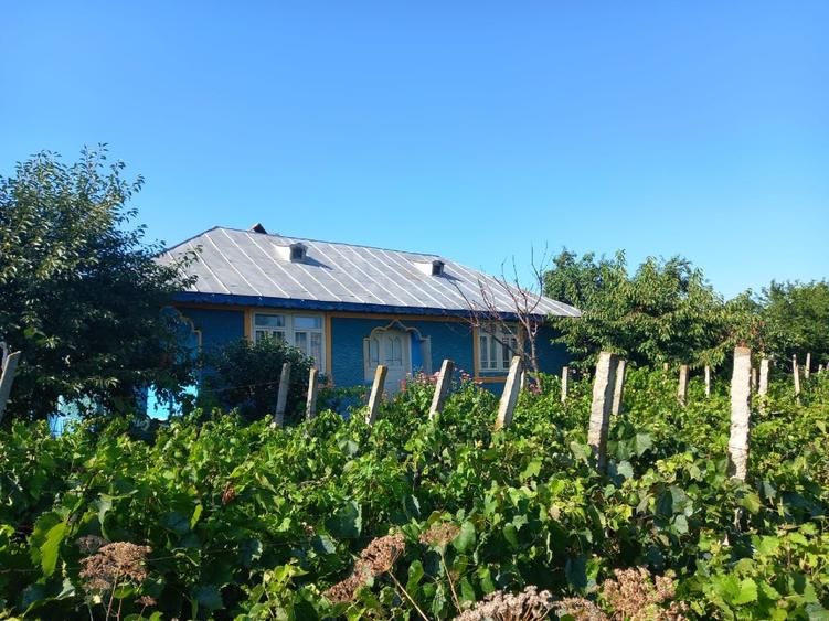 Casă individuală cu 4 camere cu Teren 3590 Mp în Colceag