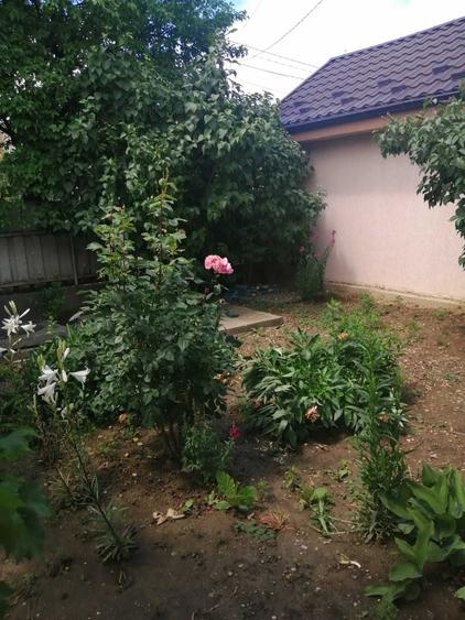 Casă cu 4 camere în Golești