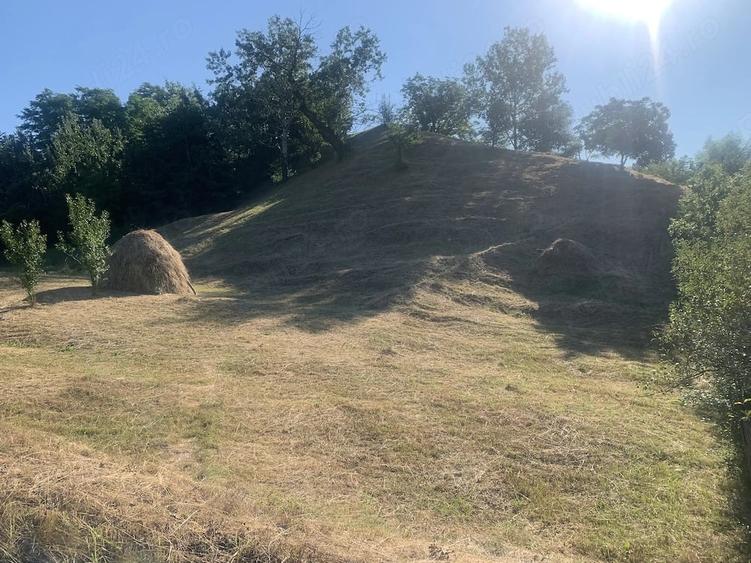 Teren de 12000 mp, în Chiojdeni