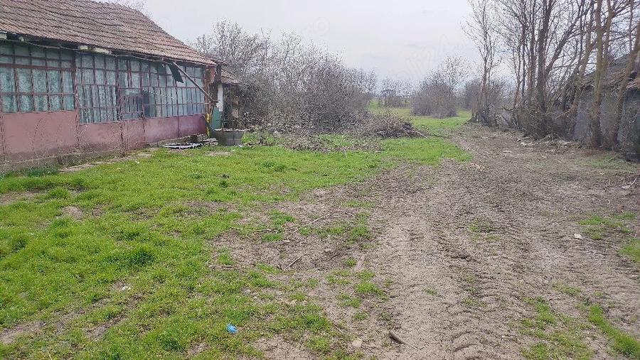 Teren de 3000 mp, în Fierbinți-Târg