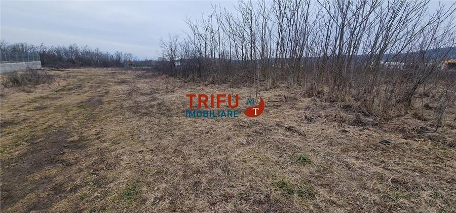 Teren Construcții intravilan de 1091 mp, în Cetate