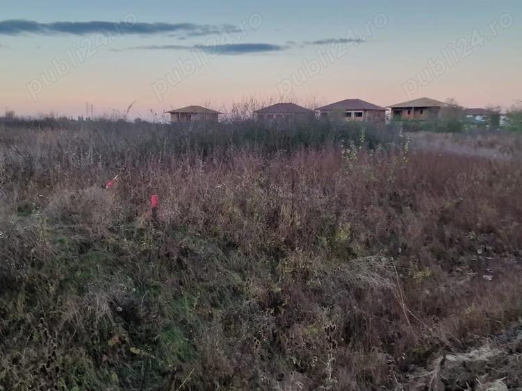 Teren de 10000 mp, în Urseni