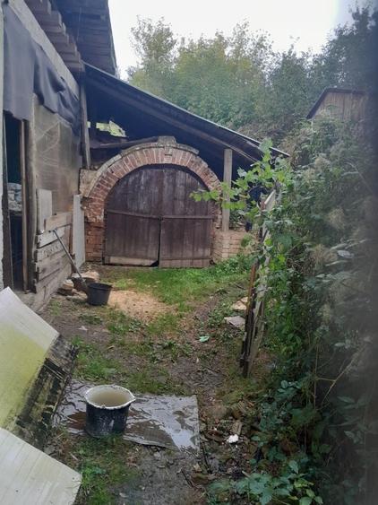 Teren de 1600 mp, în Ciurea