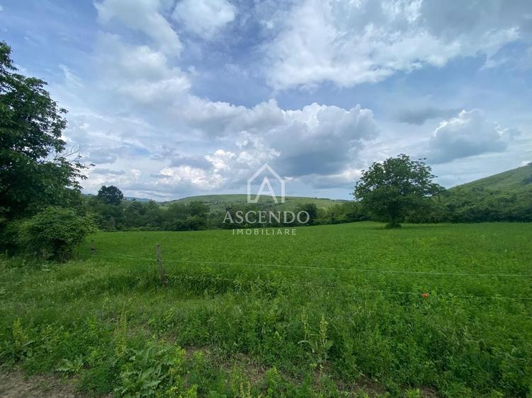 Teren Construcții intravilan de 15900 mp, în Fințești