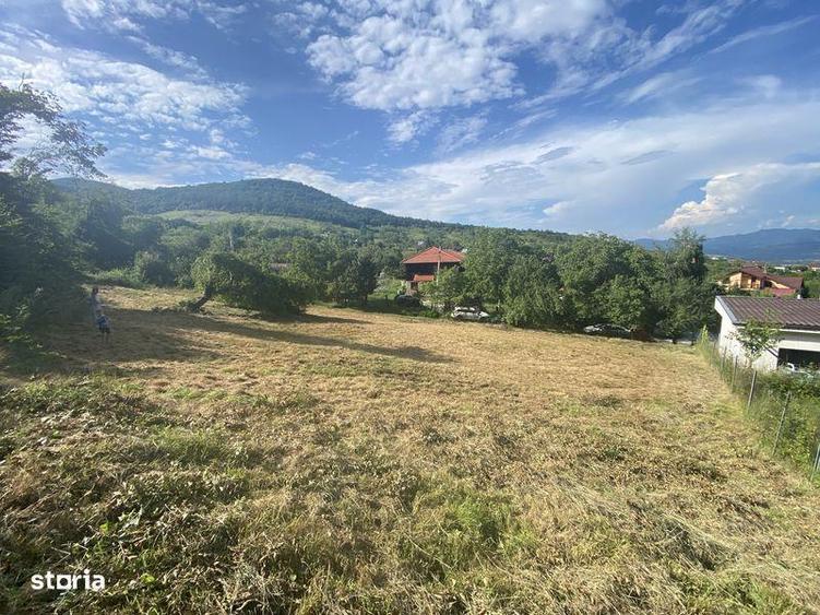 Teren de 2300 mp, în Cârjiți