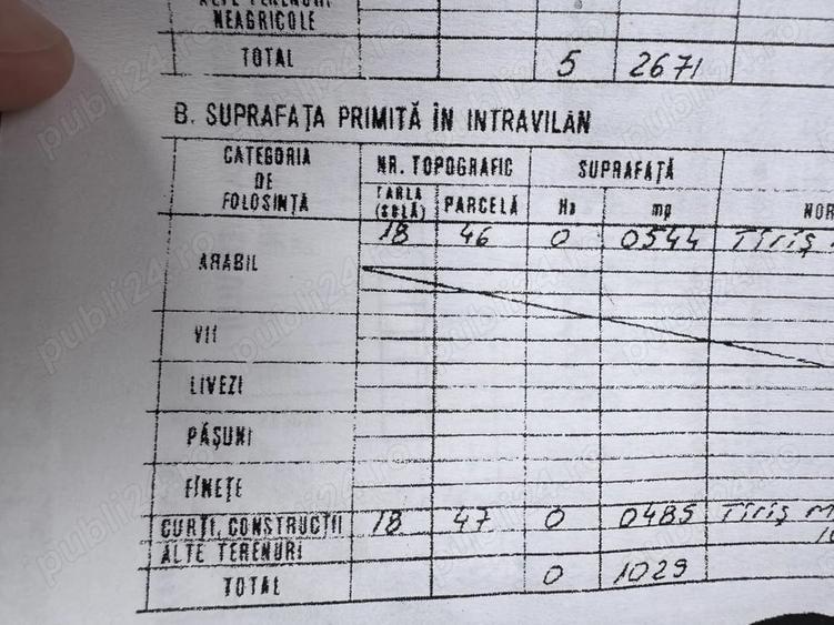 Teren în Alimănești