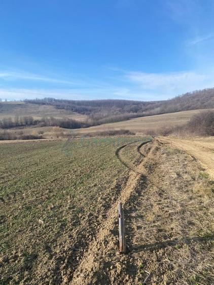 Teren agricol extravilan de 3900 mp, în Mierlău