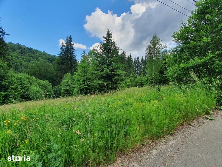 Teren de 745 mp, în Central